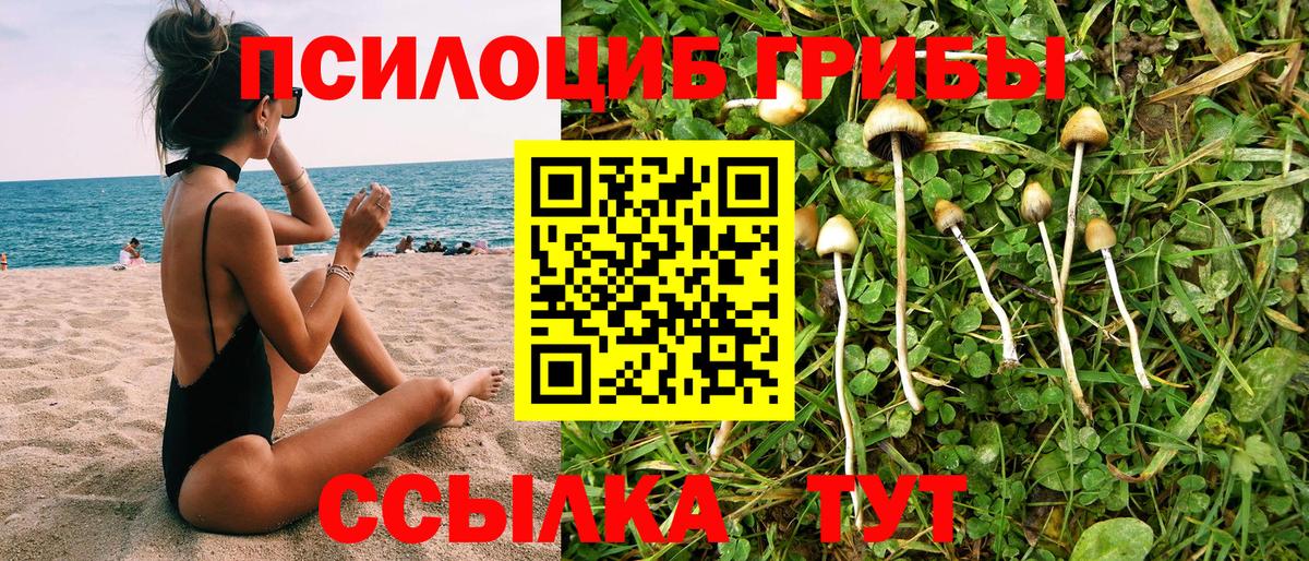 Новокуйбышевск  Галлюциногенные грибы Cubensis  Вход с VPN 