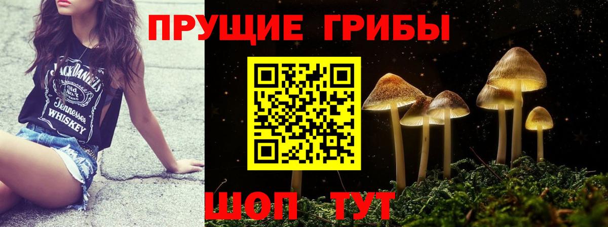 Псилоцибиновые грибы мухоморы Новокуйбышевск